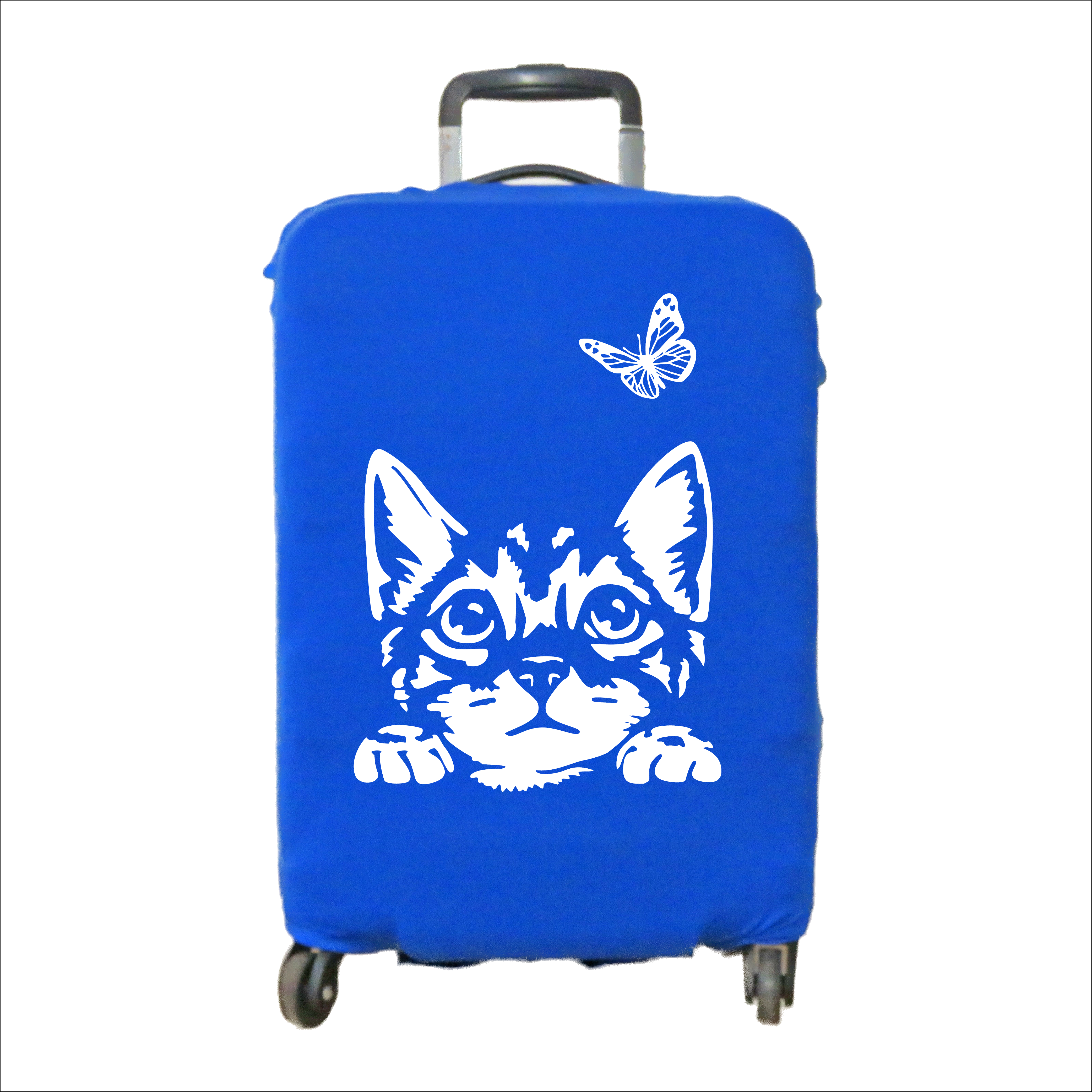 GATO MARIPOSA