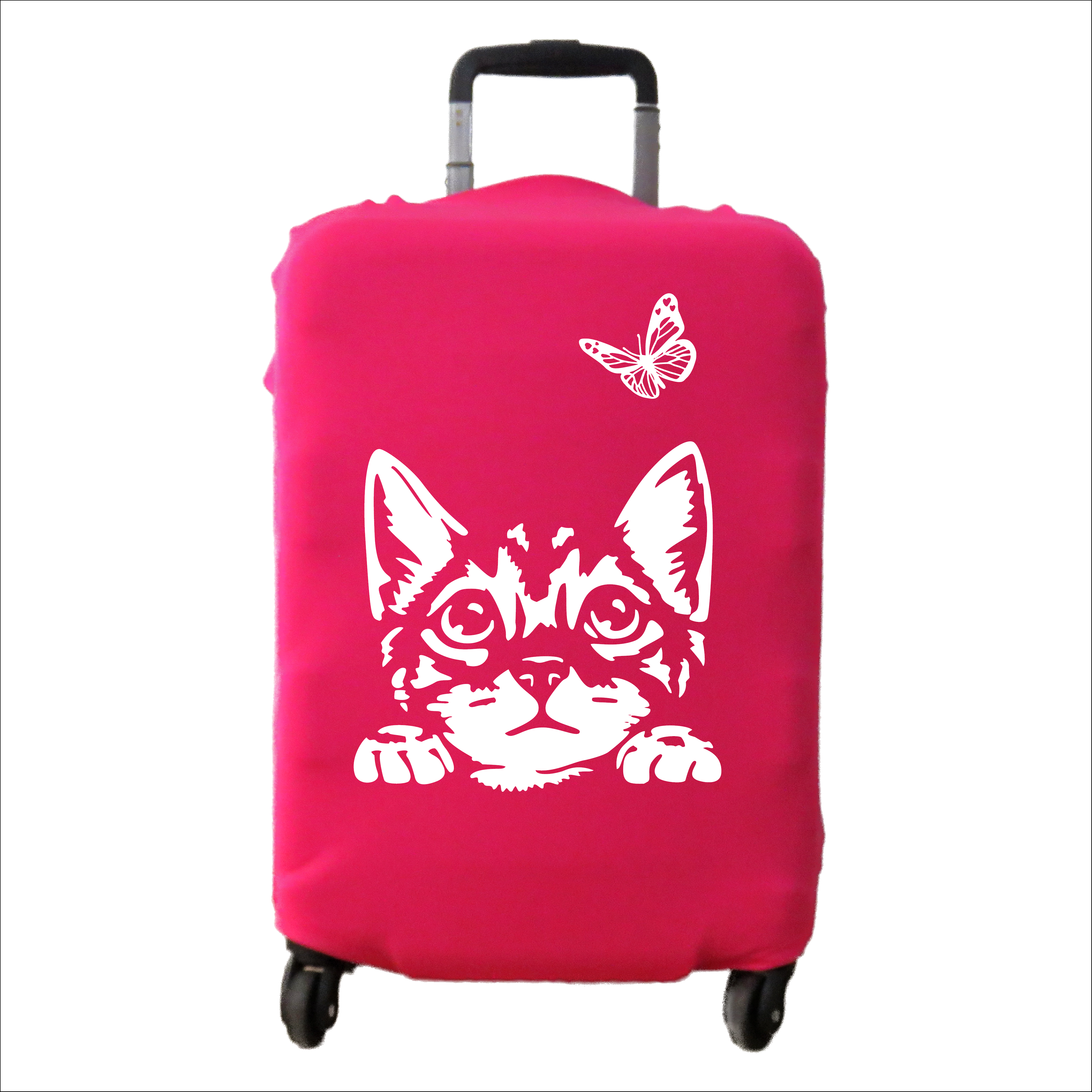 GATO MARIPOSA