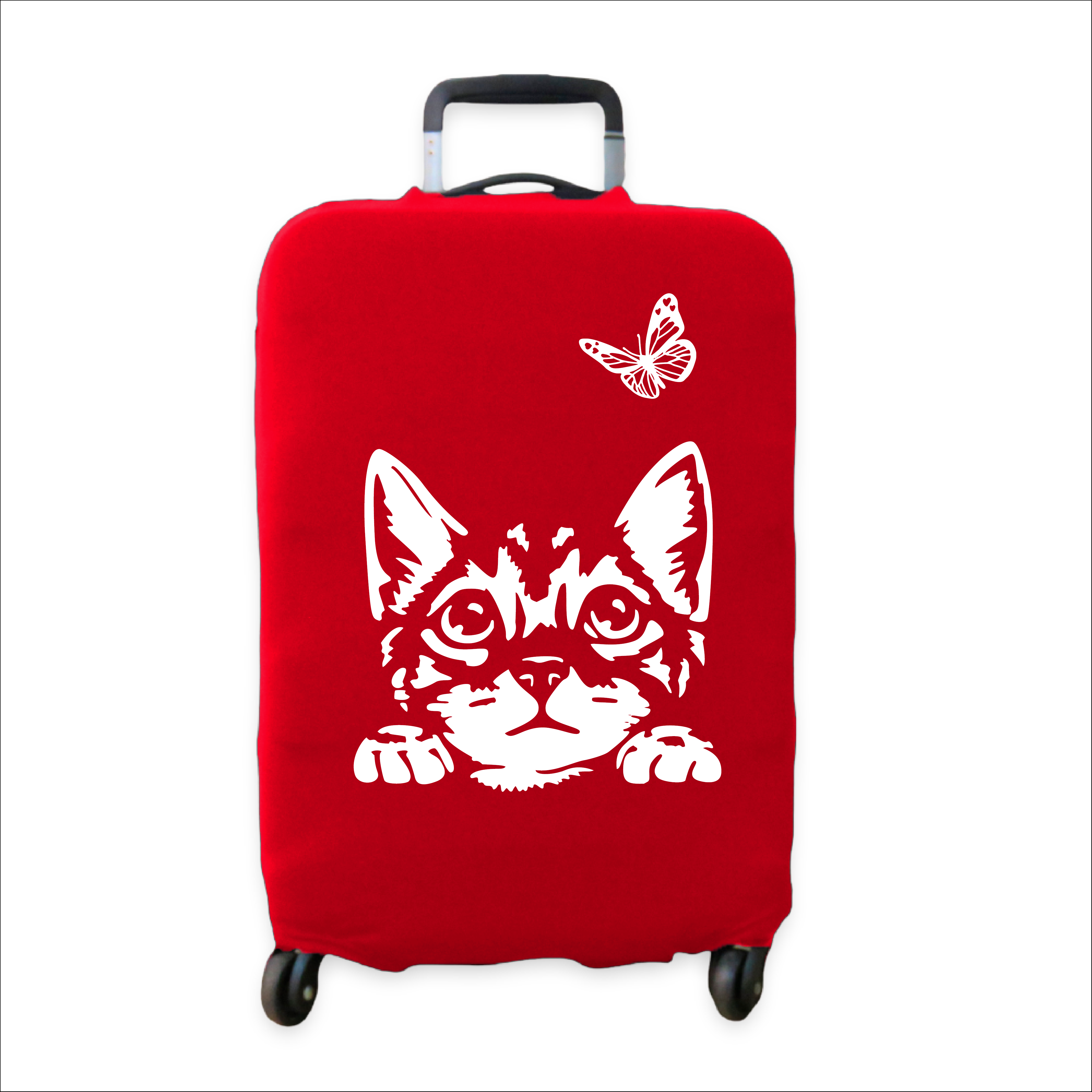 GATO MARIPOSA
